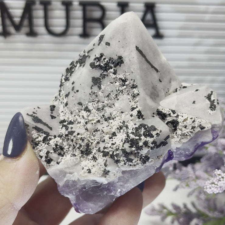 Large White Capped Amethyst Cluster with Tourmaline