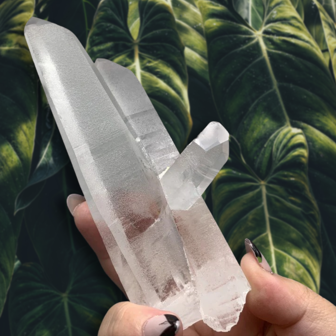 Corinto Lemurian CL3