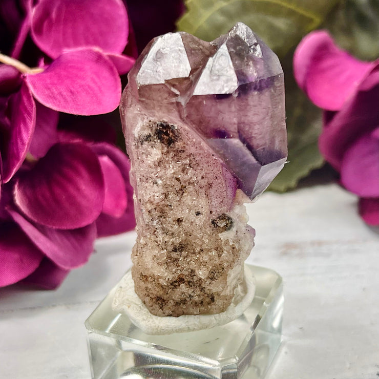 Shangaan Amethyst Scepter with Druse | SS23