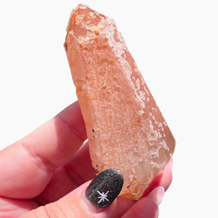 Strawberry Scarlet Lemurian